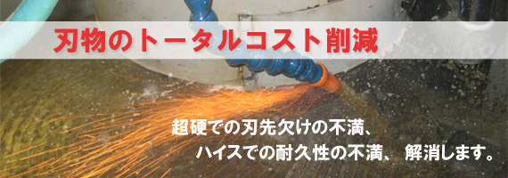 �n���̃g�[�^���R�X�g�팸�@���d�ł̐n�指���̕s���A�n�C�X�ł̑ϋv���̕s���A�������܂��B